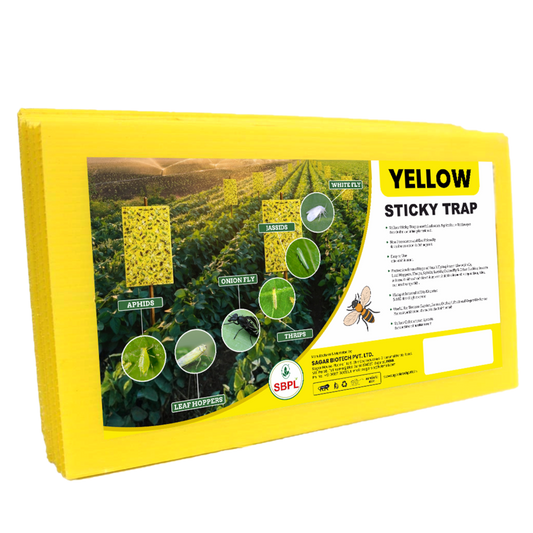 Yellow Sticky Trap Pack of 20 PCS