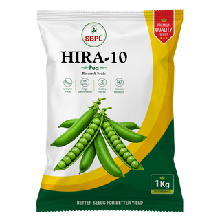 Hira-10