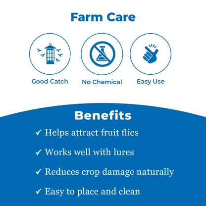 Fruit Fly Block