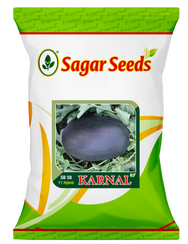 Karnal