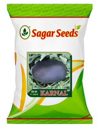 Karnal