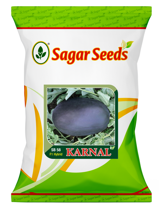 Karnal