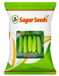 Preya