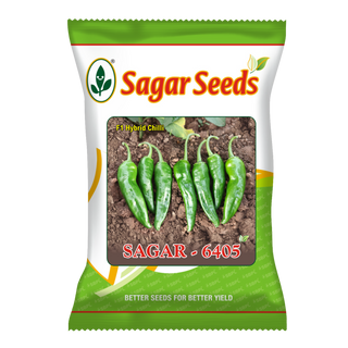 Sagar 6405 F1 Hybrid Chilli (Mirch) Seeds