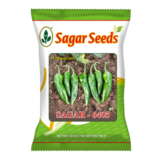 Sagar 6405 F1 Hybrid Chilli (Mirch) Seeds
