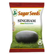 Singham