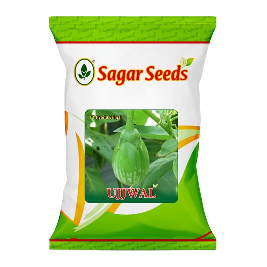 Ujjwal