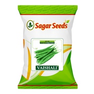 Vaishali