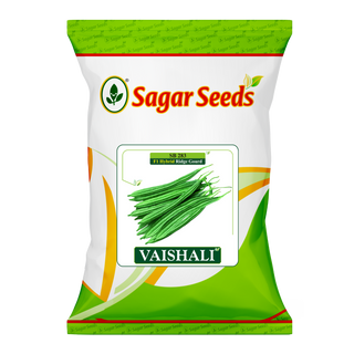 Vaishali