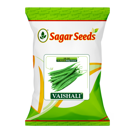 Vaishali